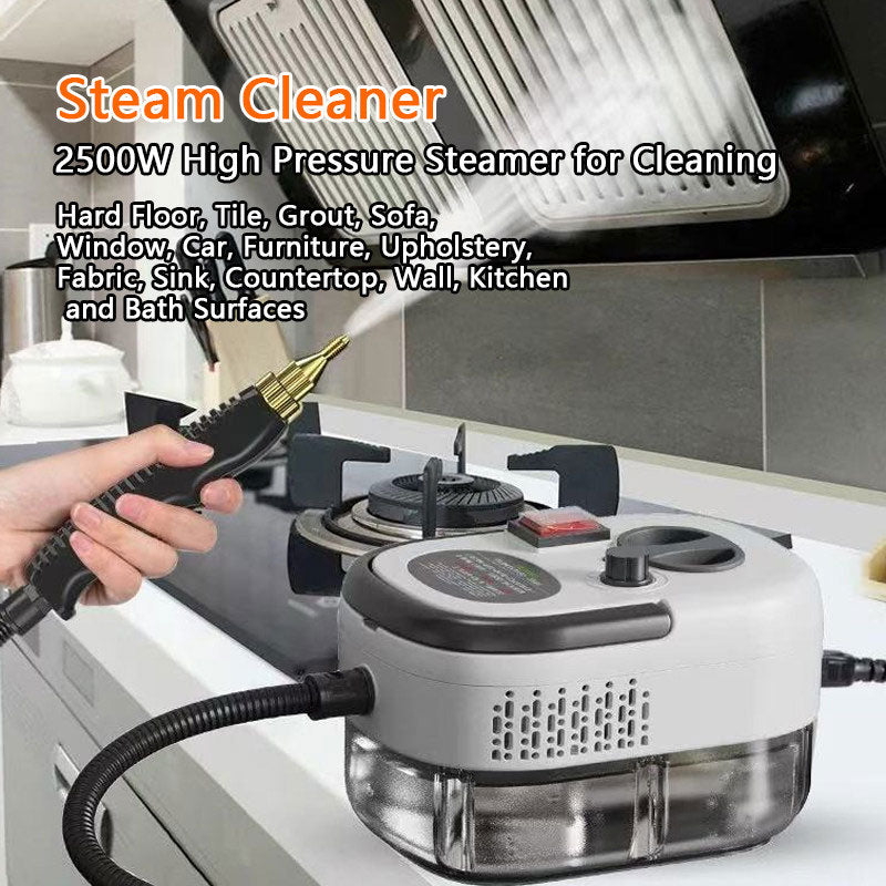 eprolo portable AC steam cleaner with high-temperature steamer for kitchen grease, range hoods, glass, and home appliance disinfection